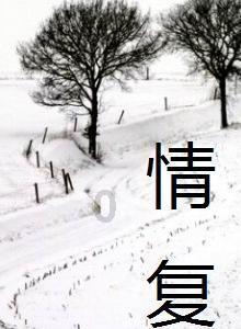 幻想纹章3.3